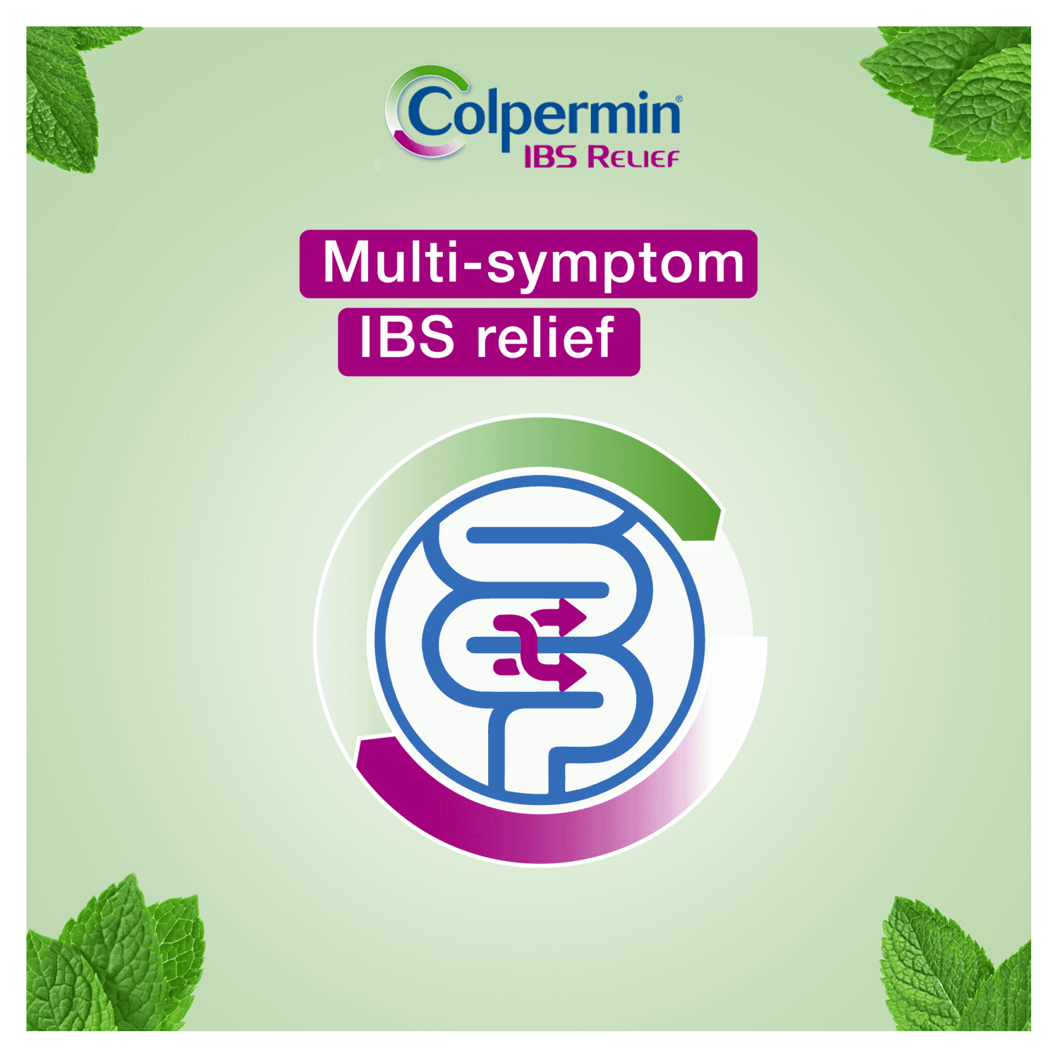 Colpermin IBS Relief Peppermint Capsules (20 Capsules)